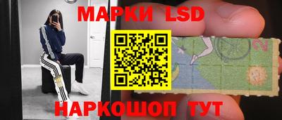 Альфа ПВП Сланцы