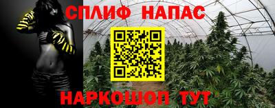 Альфа ПВП Сланцы