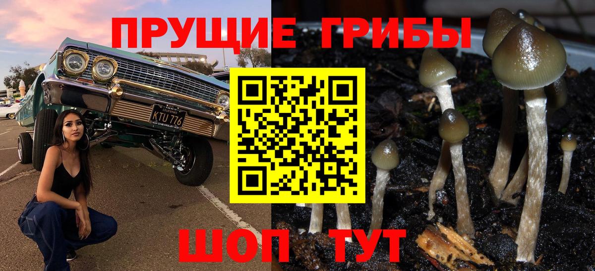 Галлюциногенные грибы ЛСД  Псилоцибиновые грибы Magic Shrooms  Вход с VPN  Обнинск 